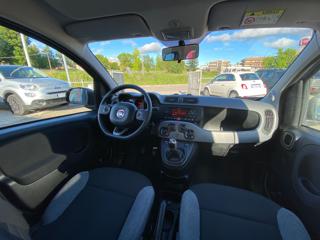 FIAT Panda usata 37
