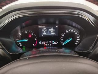 FORD Focus usata, con Cruise Control