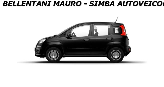 FIAT Panda usata, con Airbag Passeggero