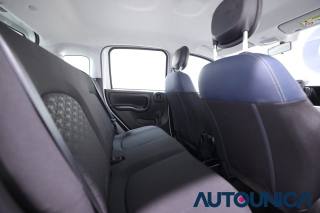 FIAT Panda usata 43