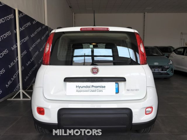 FIAT Panda usata, con Controllo trazione