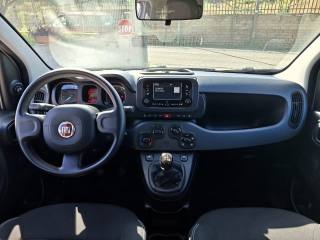 FIAT Panda usata 5
