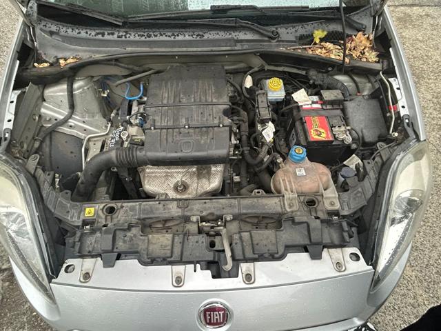 FIAT Punto usata 23