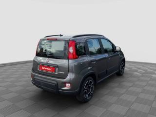 FIAT Panda usata 4
