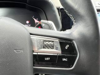 DS AUTOMOBILES DS 7 usata 21