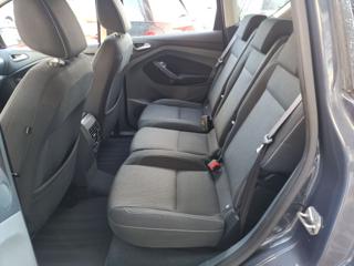 FORD C-Max usata, con Fendinebbia