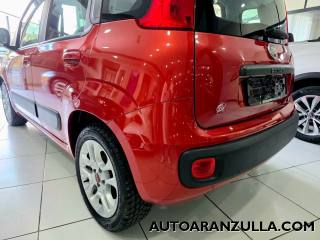FIAT Panda usata 17