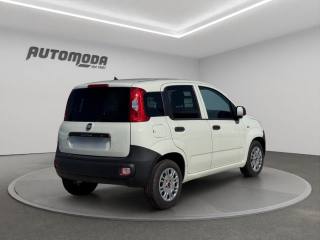 FIAT Panda usata, con Airbag Passeggero
