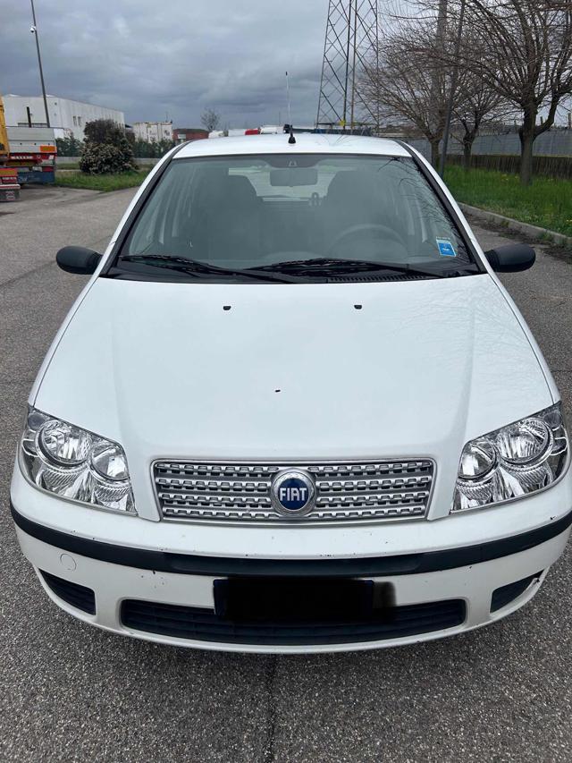 FIAT Punto usata 0