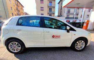 FIAT Punto Evo usata, con Climatizzatore