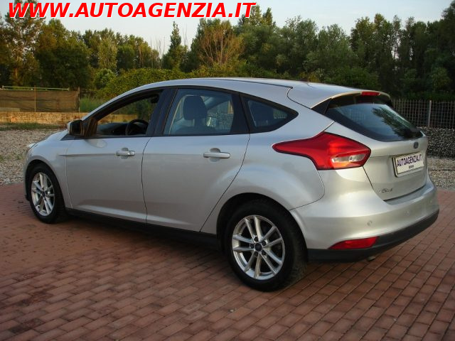 FORD Focus usata 4