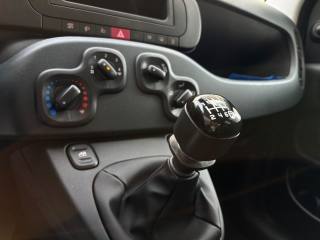 FIAT Panda usata, con Controllo elettronico della corsia