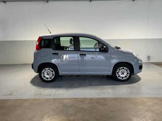 FIAT Panda usata, con Chiusura centralizzata