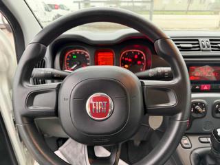FIAT Panda usata, con Airbag testa