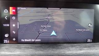 ALFA ROMEO Stelvio usata 98