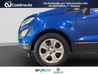 FORD EcoSport usata, con Bracciolo