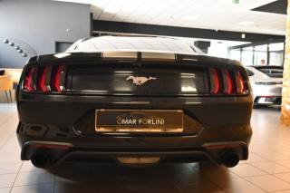 FORD Mustang usata 127