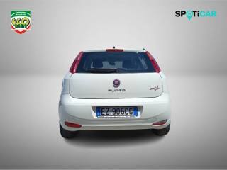 FIAT Punto usata 18