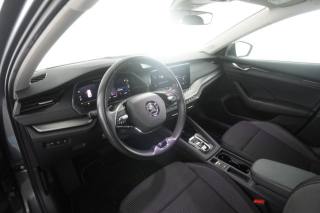 SKODA Octavia usata 7