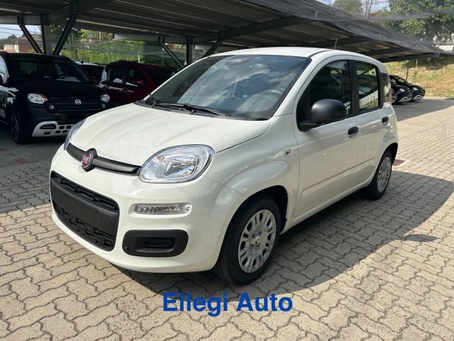 FIAT Panda usata, con Servosterzo