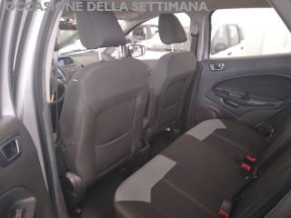 FORD EcoSport usata, con Bracciolo