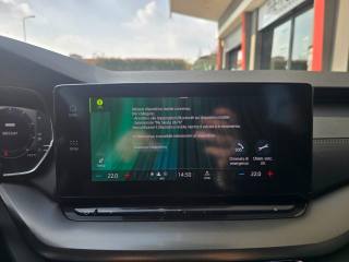 SKODA Octavia usata, con Riconoscimento dei segnali stradali