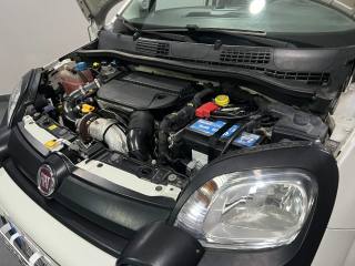 FIAT Panda Cross usata, con Fendinebbia