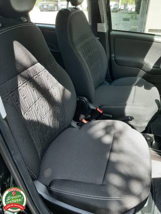 FIAT Panda usata 29