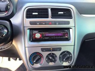 FIAT Punto usata 13