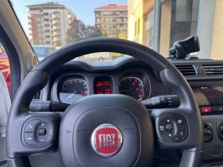 FIAT Panda usata 14