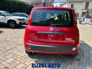 FIAT Panda usata, con Antifurto