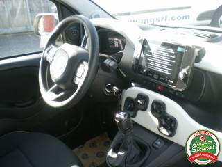 FIAT Panda usata, con Servosterzo