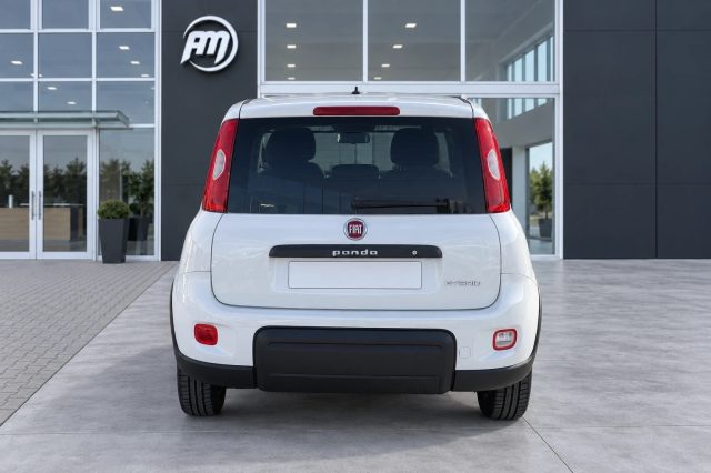 FIAT Panda usata, con Alzacristalli elettrici