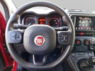 FIAT Panda Cross usata, con Fendinebbia