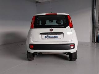FIAT Panda usata, con USB