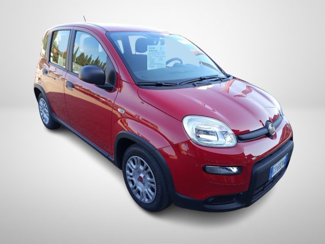 FIAT Panda usata, con ESP