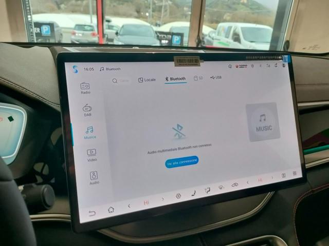BYD Seal usata, con Park Distance Control