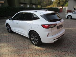 FORD Kuga usata, con Airbag Passeggero