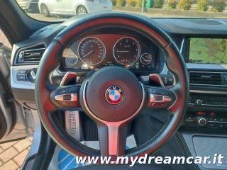 BMW 520 usata, con Fari Xenon
