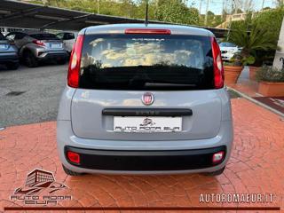 FIAT Panda usata, con Alzacristalli elettrici