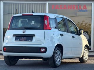 FIAT Panda usata, con Fendinebbia