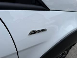 FORD EcoSport usata, con Fendinebbia