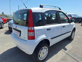 FIAT Panda usata, con Immobilizzatore elettronico