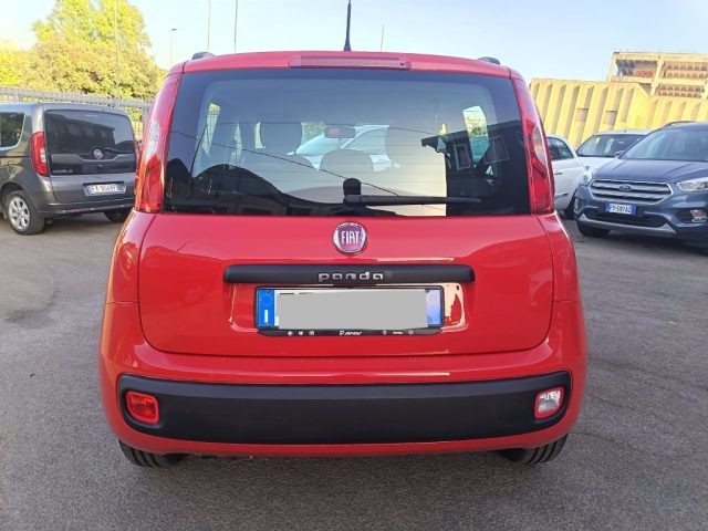 FIAT Panda usata 7