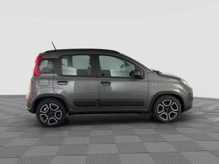 FIAT Panda usata 5