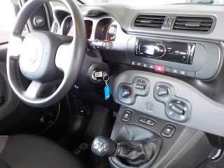 FIAT Panda usata 18
