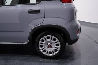 FIAT New Panda usata 26