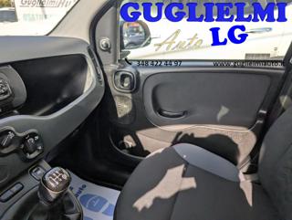 FIAT Panda usata, con Airbag testa
