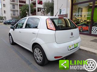 FIAT Punto usata, con Marmitta catalitica