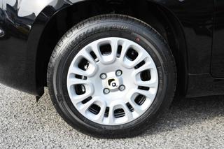 FIAT Panda usata, con Cruise Control